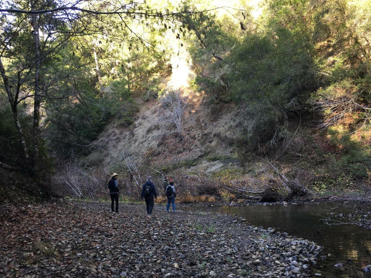 Pescadero Creek Inn Kültér fotó